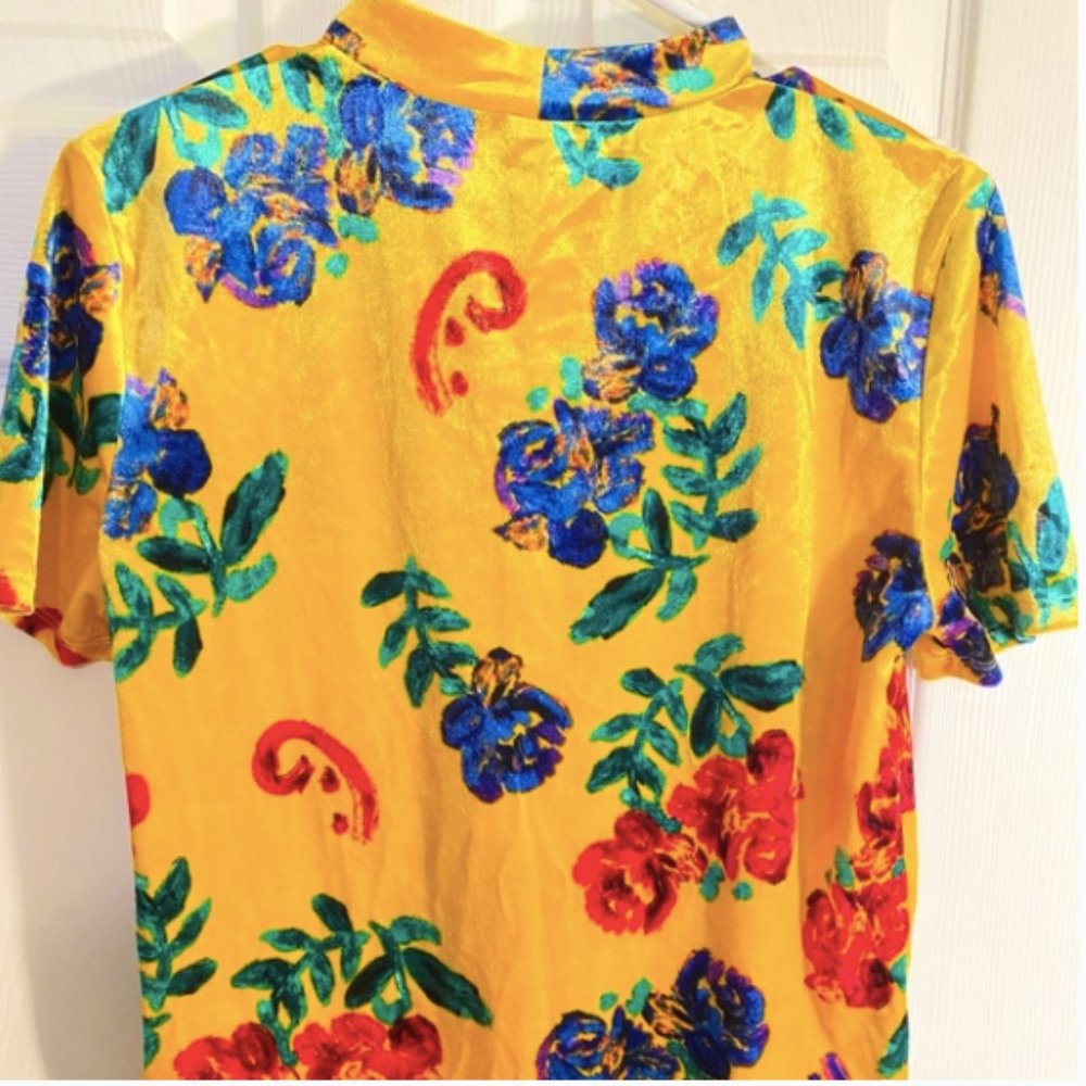 Zara Velour Short Sleeve Top (Size Medium)